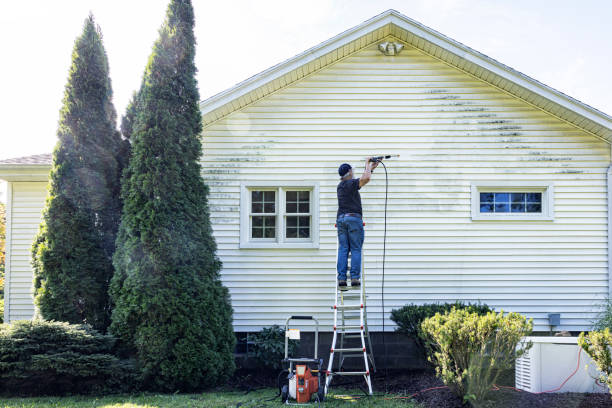 Best Local Pressure Washing Services  in Runnemede, NJ